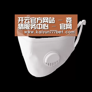 N95 口罩