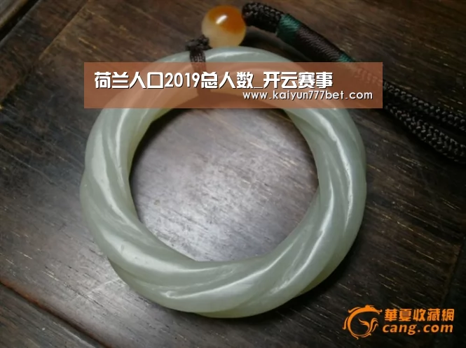 荷兰人口2019总人数_开云赛事(图2) 开云赛事