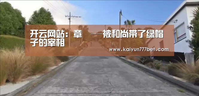 开云网站:章惇--被和尚带了绿帽子的宰相(图1) 开云赛事