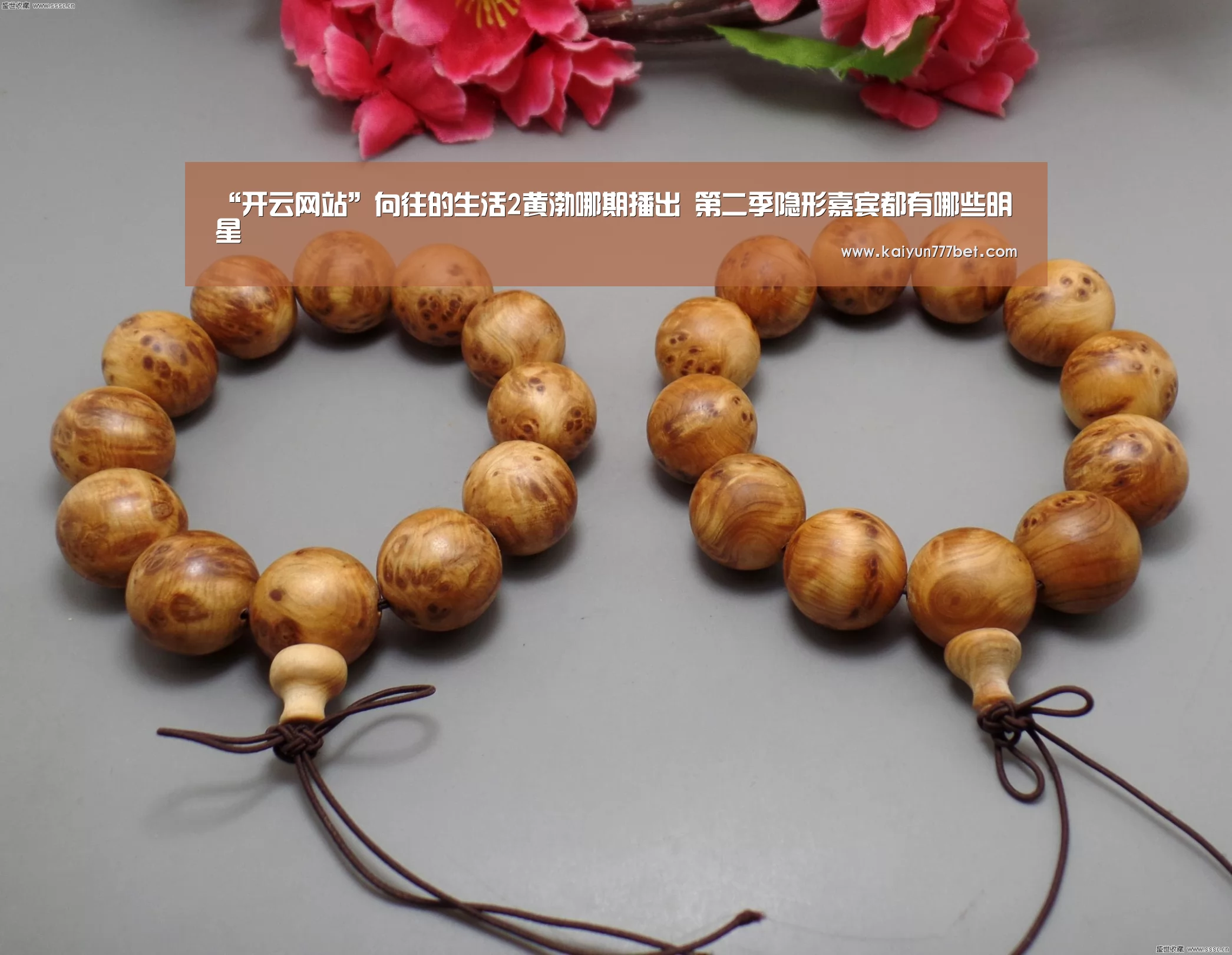 “开云网站”向往的生活2黄渤哪期播出 第二季隐形嘉宾都有哪些明星(图1) 开云网站