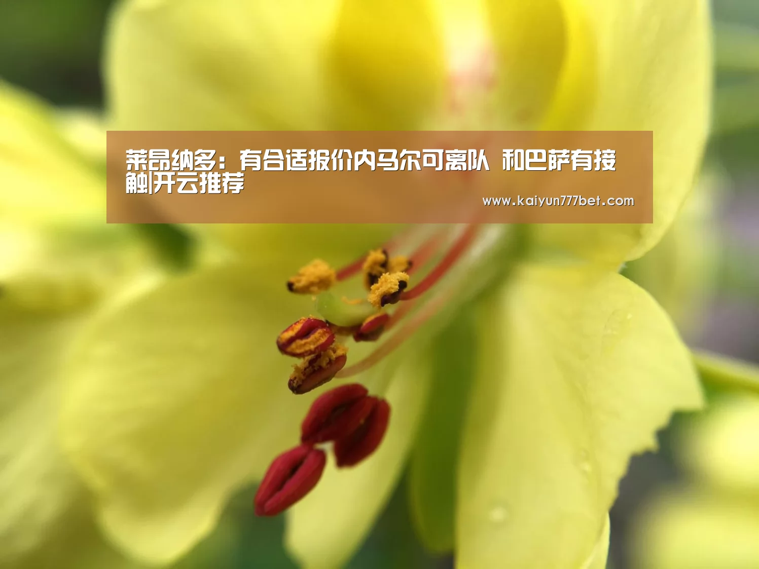 开云首页
