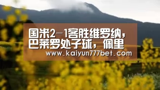 开云网站