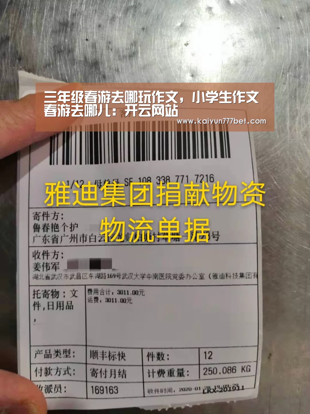 三年级春游去哪玩作文,小学生作文春游去哪儿:开云网站(图1) 开云首页