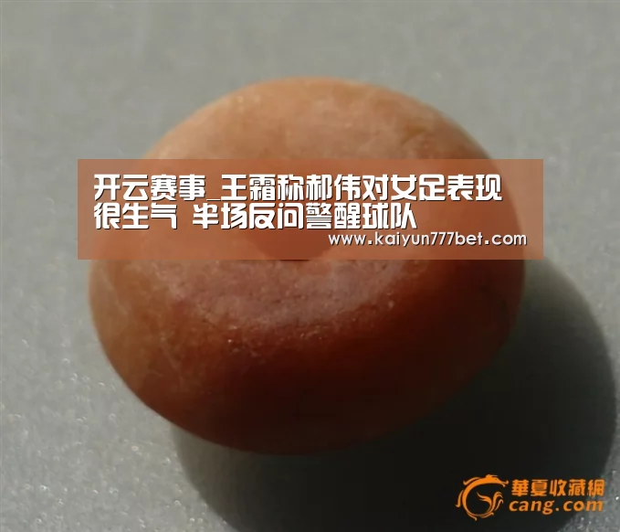 开云赛事_王霜称郝伟对女足表现很生气 半场反问警醒球队(图1) 开云赛事