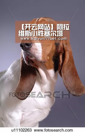 【开云网站】阿拉维斯小胜塞尔塔(图4) 开云网站