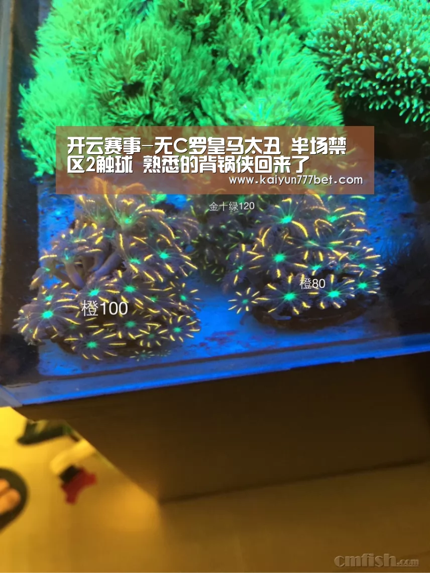 开云赛事-无C罗皇马太丑 半场禁区2触球 熟悉的背锅侠回来了(图2) 开云推荐