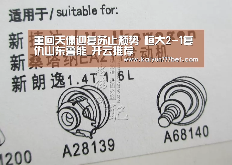 开云网站