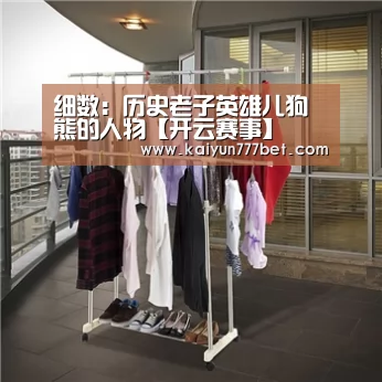 细数:历史老子英雄儿狗熊的人物【开云赛事】(图2) 开云网站